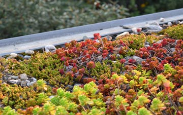 the cost of Carlton Curlieu green roof installation