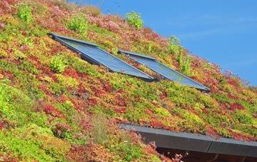 Carlton Curlieu living roof systems