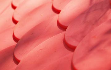 Carlton Curlieu plastic roof costs