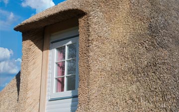 Carlton Curlieu thatch roof disadvantages