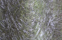 Carlton Curlieu fibreglass roof work